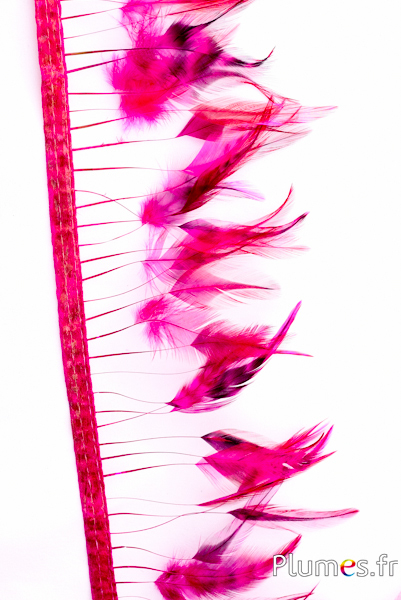 Frange coq - long. plumes 8-10 cm - fuchsia